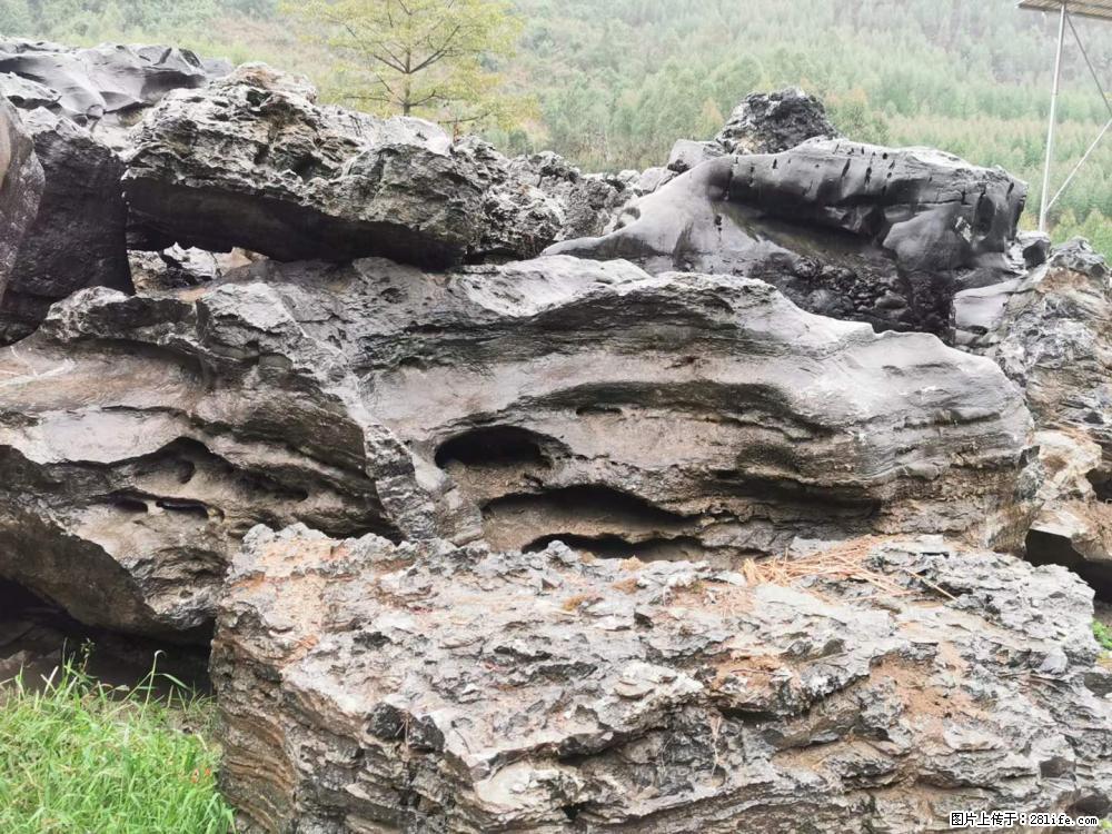 风景石、假山石大量有货，有需要的欢迎联系 - 新手上路 - 阜新生活社区 - 阜新28生活网 fx.28life.com