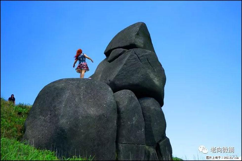 【春天，广西桂林灌阳县向您发出邀请！】宝盖山上映山红 - 游山玩水 - 阜新生活社区 - 阜新28生活网 fx.28life.com