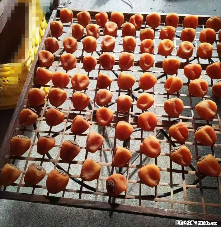 广西桂林平乐桥亭【柿饼之乡】2025年纯手工制作、无任何添加剂的第一批柿饼准备上市了,欢迎联系订购! - 土特产 - 饮食特产 - 阜新分类信息 - 阜新28生活网 fx.28life.com