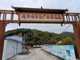 【灌阳县油茶产业示范区】一个有着充实的精神生活的人，对待身外之物自会有一种淡泊的态度 - 阜新28生活网 fx.28life.com