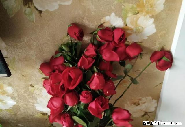 阜华高层两室两厅房出租 - 房屋出租 - 房屋租售 - 阜新分类信息 - 阜新28生活网 fx.28life.com