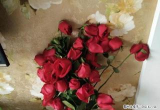 新华街一室一室4楼出租 - 阜新28生活网 fx.28life.com