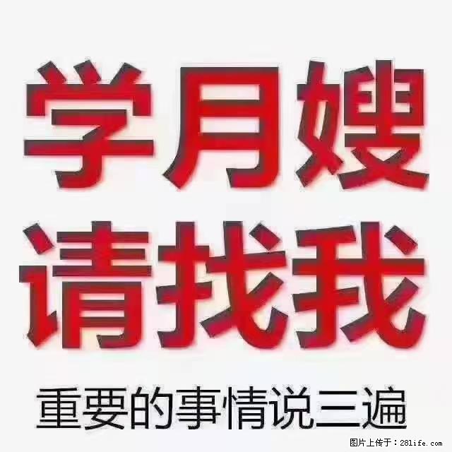 【招聘】月嫂，上海徐汇区 - 其他招聘信息 - 招聘求职 - 阜新分类信息 - 阜新28生活网 fx.28life.com