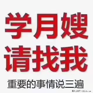 【招聘】月嫂，上海徐汇区 - 阜新28生活网 fx.28life.com