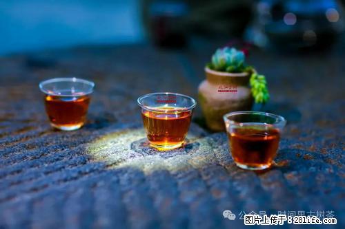 时间果百年古树2025年春红茶 - 购物交流 - 阜新生活社区 - 阜新28生活网 fx.28life.com