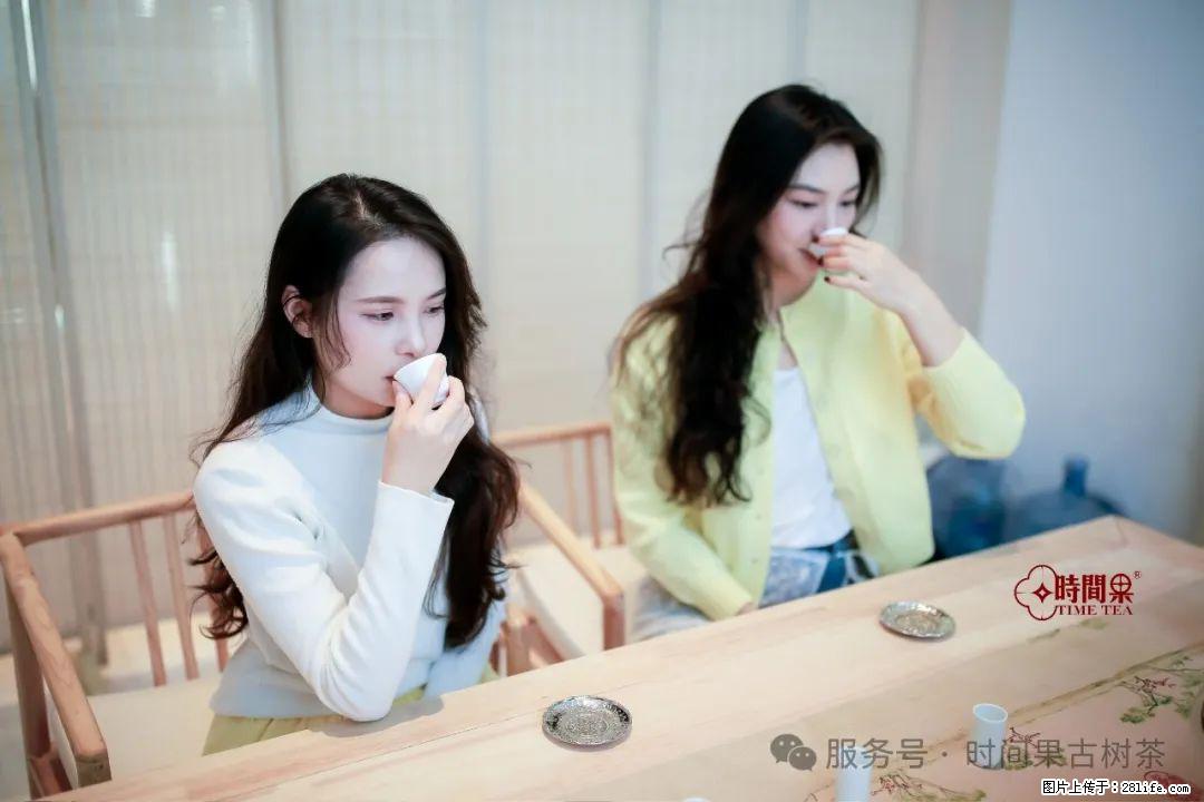 时间果百年古树龙珠普洱生茶 - 购物交流 - 阜新生活社区 - 阜新28生活网 fx.28life.com