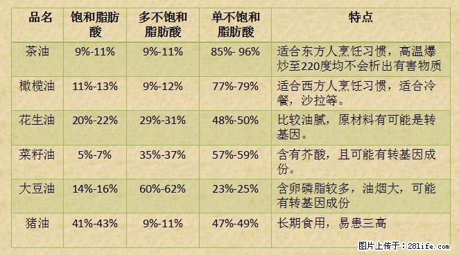 揭秘茶油的5大核心营养成分！被称为人体健康的“守护盾”！ - 阜新生活资讯 - 阜新28生活网 fx.28life.com