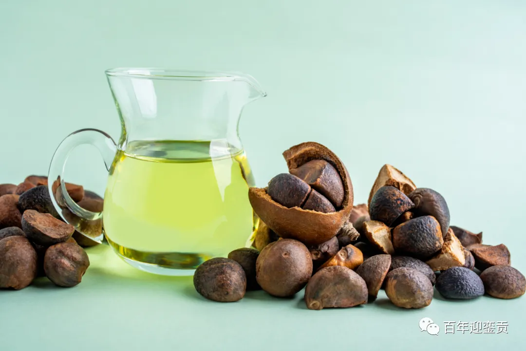 世界没有真相，只有认知，最好的食用油是中国的山茶油！ - 阜新生活资讯 - 阜新28生活网 fx.28life.com