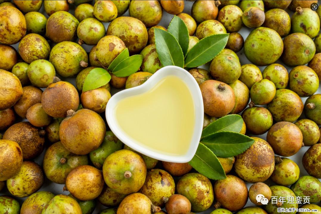 世界没有真相，只有认知，最好的食用油是中国的山茶油！ - 阜新生活资讯 - 阜新28生活网 fx.28life.com