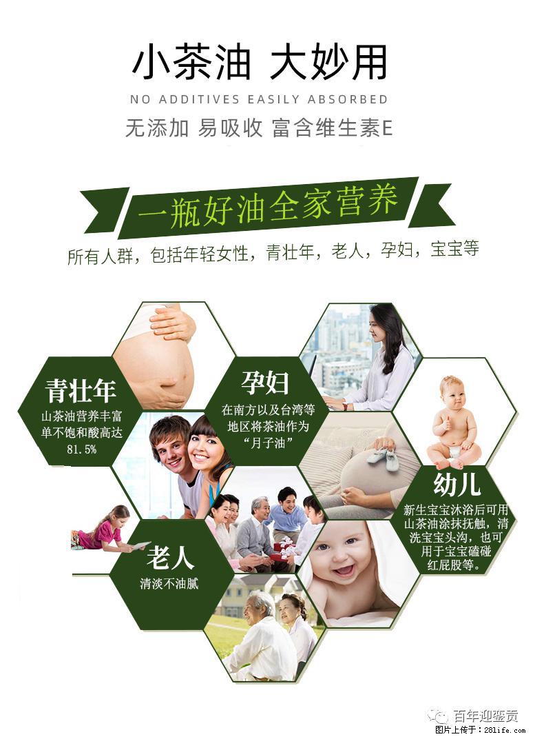 世界没有真相，只有认知，最好的食用油是中国的山茶油！ - 阜新生活资讯 - 阜新28生活网 fx.28life.com