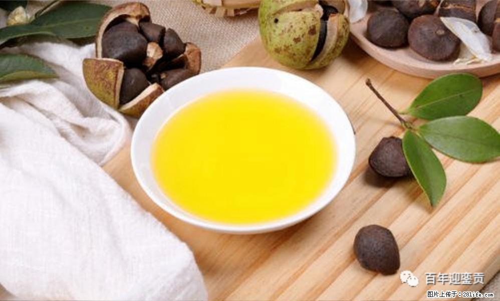 世界没有真相，只有认知，最好的食用油是中国的山茶油！ - 阜新生活资讯 - 阜新28生活网 fx.28life.com