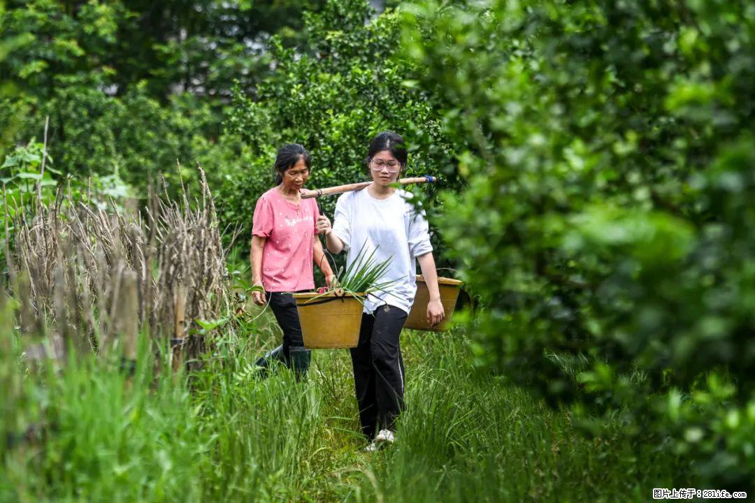 全网追的“扁担女孩”，找了一份暑假工，时薪12元 - 阜新生活资讯 - 阜新28生活网 fx.28life.com
