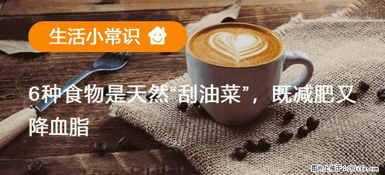 【生活小常识】6种食物是天然“刮油菜”，既减肥又降血脂 - 阜新生活资讯 - 阜新28生活网 fx.28life.com