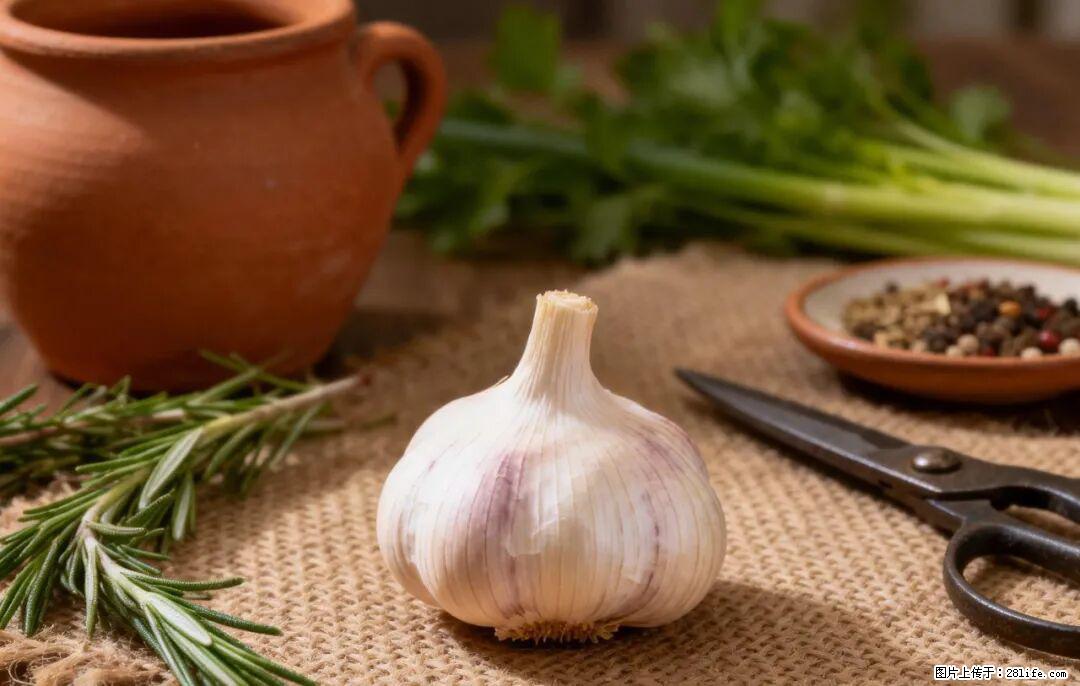 关于大蒜，除了“天然抗生素”，这4个谣言更该警惕! - 阜新生活资讯 - 阜新28生活网 fx.28life.com