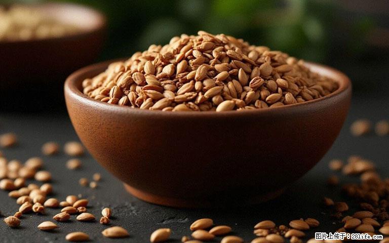 这三苦是三高“克星”，心血管干净不易堵！每天吃一点，指标慢慢降下来~ - 阜新生活资讯 - 阜新28生活网 fx.28life.com