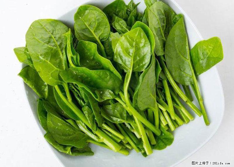 这些蔬菜是“天然钙片”，这6种被医生重点推荐 - 阜新生活资讯 - 阜新28生活网 fx.28life.com